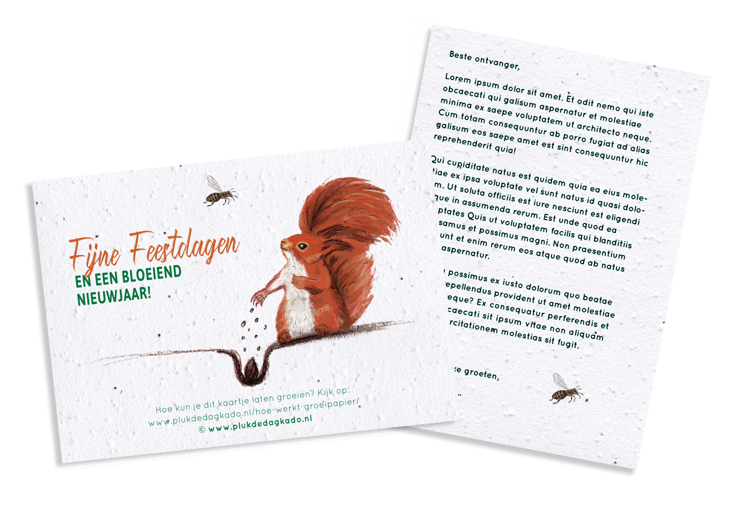 Groeikerstkaart | Bloeiend nieuwjaar + envelop Groeikerstkaart | Bloeiend nieuwjaar + envelop