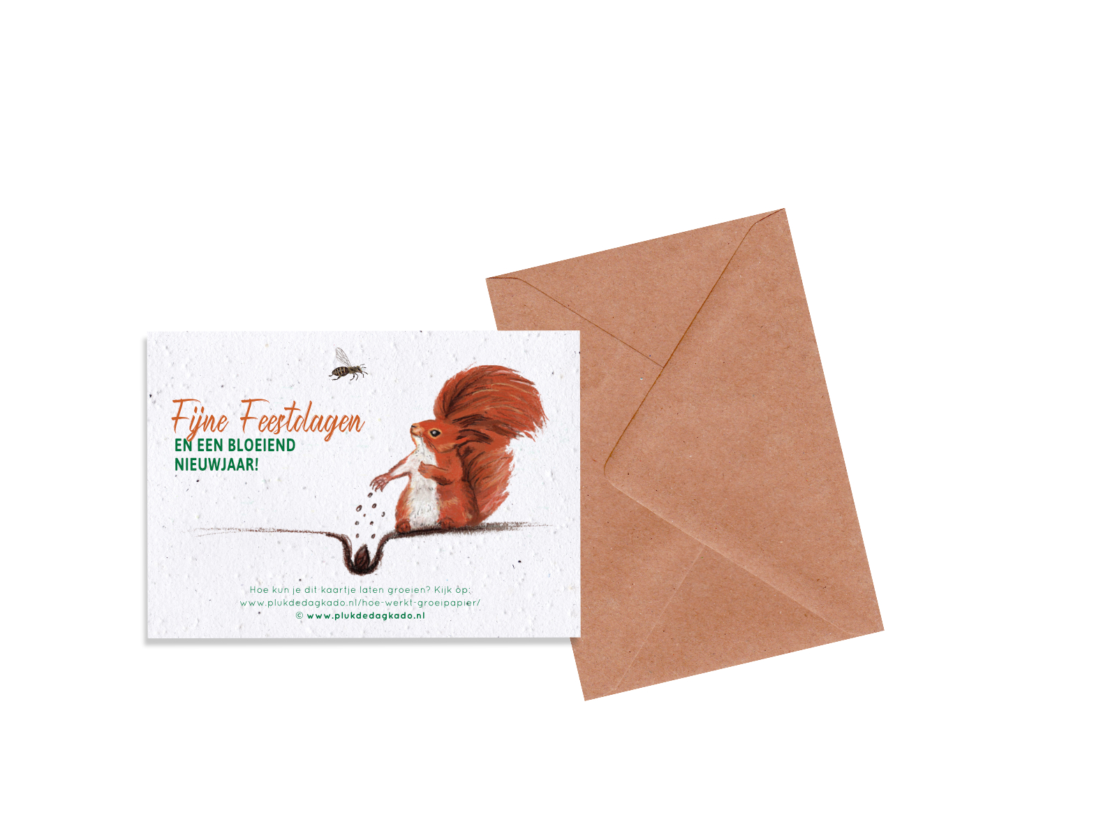 Groeikerstkaart | Bloeiend nieuwjaar + envelop Groeikerstkaart | Bloeiend nieuwjaar + envelop